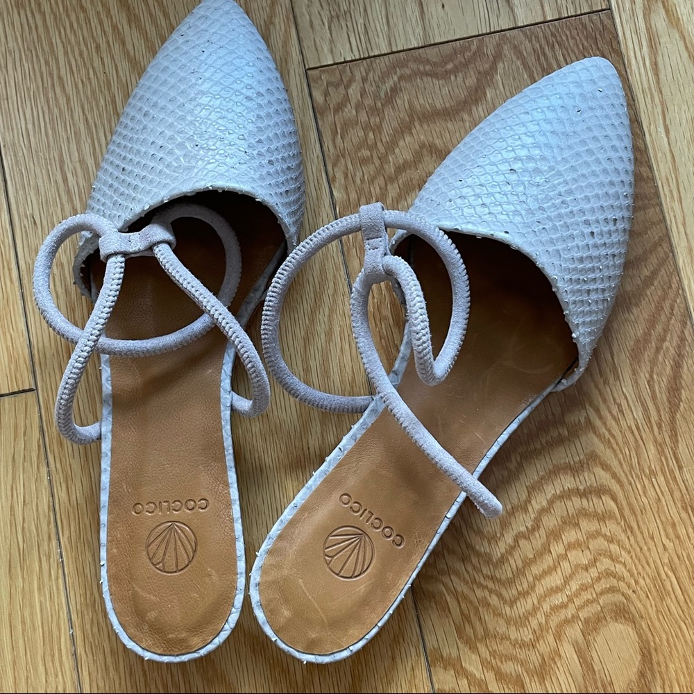 coclico closed toe shoe